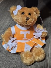 Tennessee Volunteers