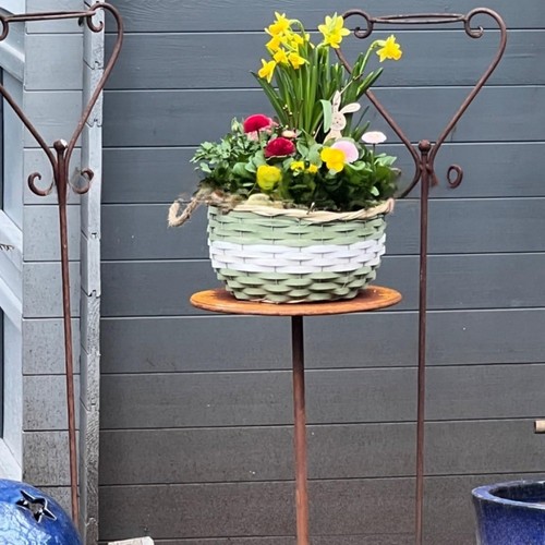 Support fer pour - pour, plantes