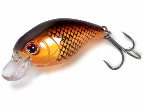 Quantum magic trout - magic, hustle