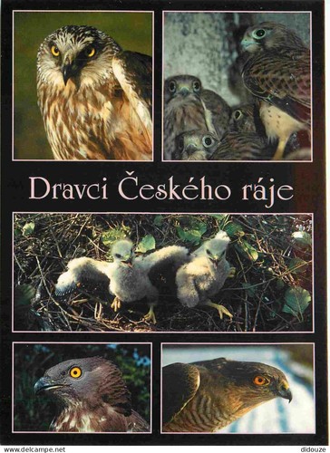Carte postale animaux - postale,