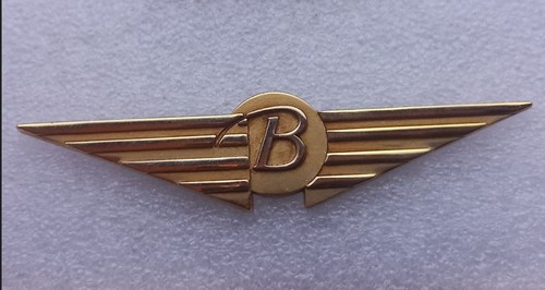 Eb310 pin ailes belair - eb310,