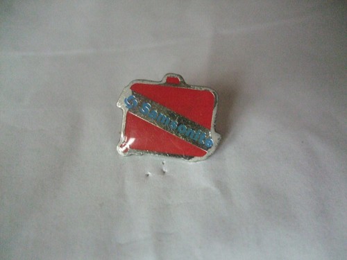 Pins valise samsonite - valise,