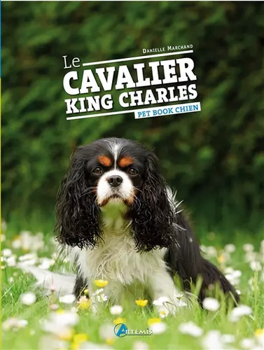 Cavalier king charles - le,