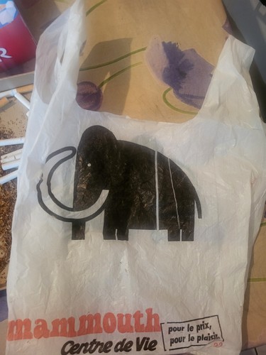 Rare ancien grand sac - ancien,