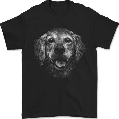 Golden retriever visage - a,