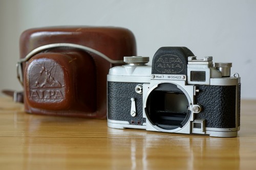Rare pignons alpa alnea - rare,