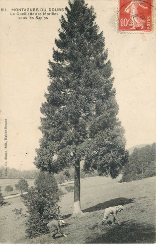 Doubs montagne la - doubs,