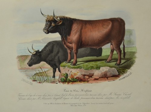 Lithographie xixème couleur - lithographie,