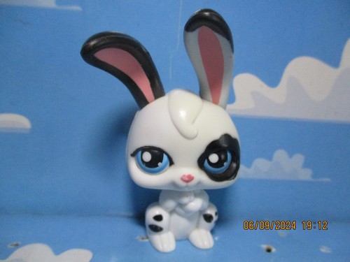 Petshop garenne rabbit pp4 - petshop,