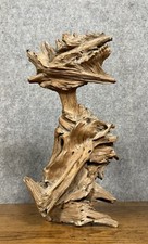Art brutaliste: sculpture exécutée dans une racine de teck époque circa 1970