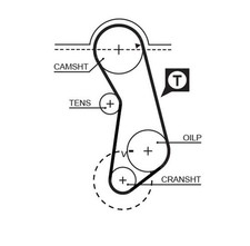 COURROIE DE DISTRIBUTION GATES - 5016