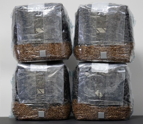 Mycohaus pack all one 5 - one,