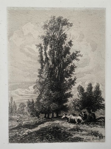 Vaches dans paysage - vaches,