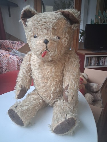 Tres bel ours peluche - ours, en