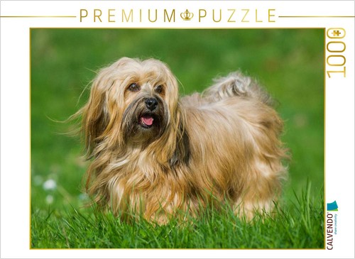 Puzzle calvendo bichon - le,