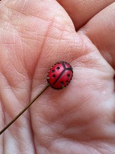 Pin Épingle Ancienne