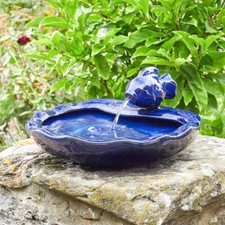 Énergie Solaire Bleu Poisson