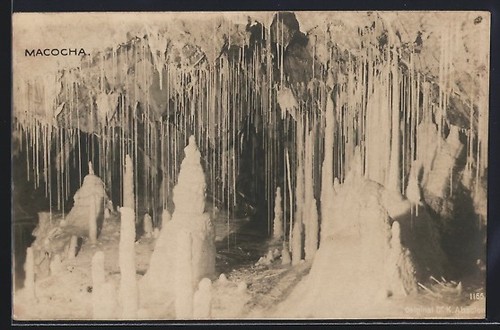 Carte postale macocha partie - carte, macocha,