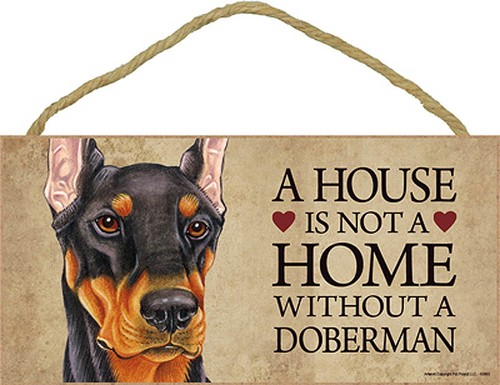 Doberman intérieur chien race - intérieur,