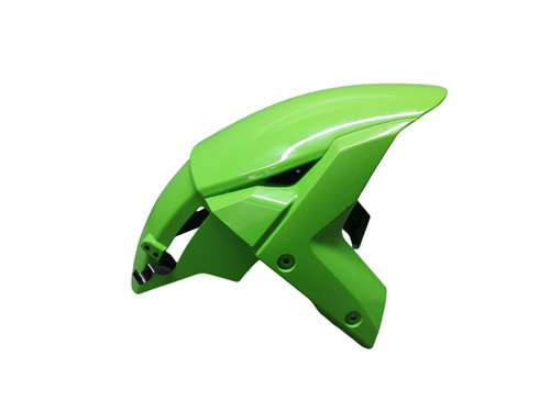 Kawasaki rr 2021 - kawasaki,