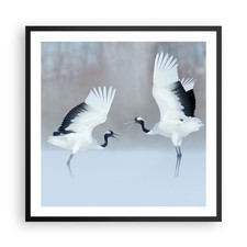 Affiche Poster 60x60cm