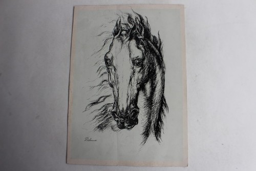 Delacoux horse head - horse,