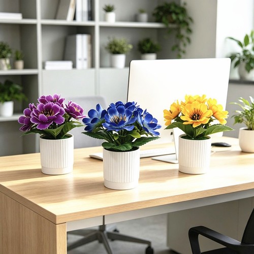 Marguerite africaine