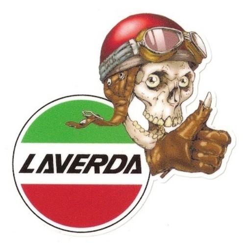 Laverda right skull droit - right,