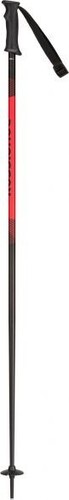 Rossignol paire petits - rossignol,