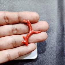 VENTE Italie branche de corail