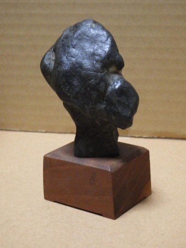 Suiseki bonseki bonsaï - bonsaï, jardin