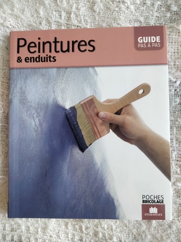 Livre bricolage peintures et - livre,