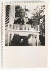 Woman three identical puppies, small dogs - vintage photo snapshot 1950