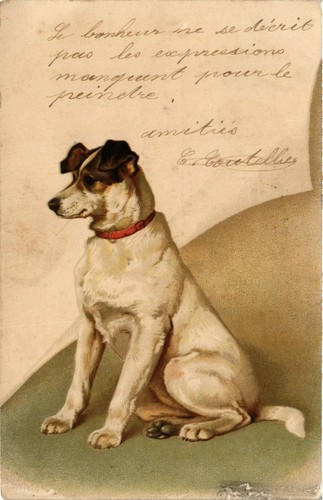 Cpa jack russel - ak,