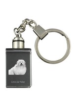 Coton De Tulear, Baumwollhund