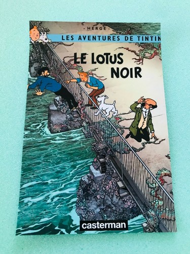 Carte postale 15x10 - 15x10, tintin