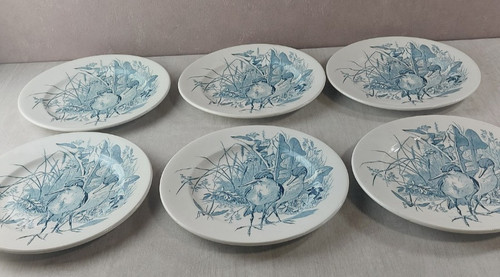 Lot anciennes assiettes - lot,