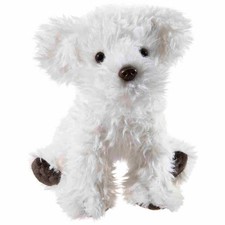 Heunec Misanimo Maltese Bichon