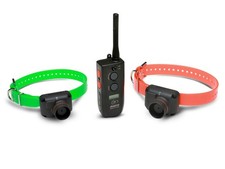 Collier de repérage Dogtra