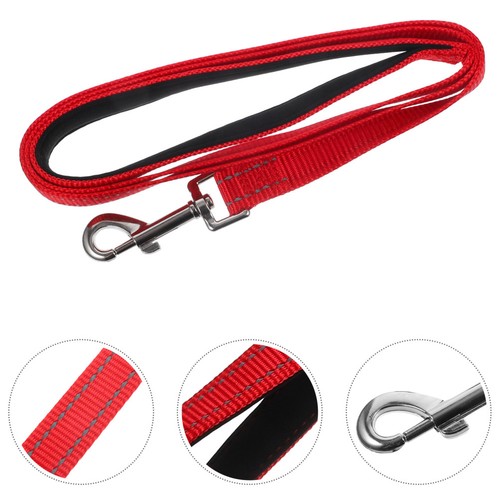 Laisse pour chiot formation - laisse,