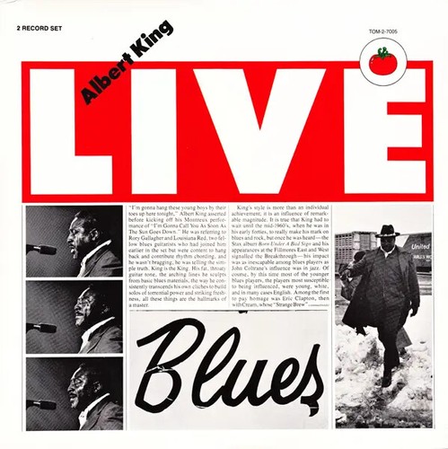 Albert king live double - albert,
