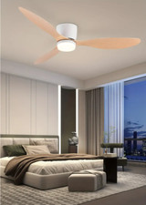 Ventilateur de Plafond avec