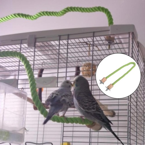 Bird rope perch perroquet - bird,