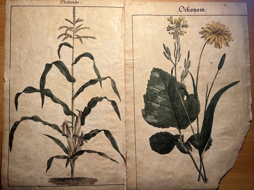 Lithographie ancienne 1838 - ancienne,