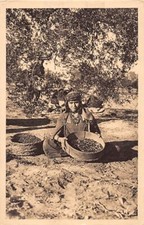 Tunisia - SFAX - Sifting Olive Cleaning - Ed. Joint Chamber of Commerce