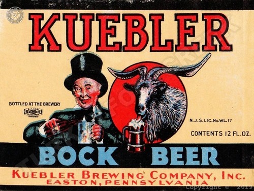 Kuebler bock beer - beer, 12"