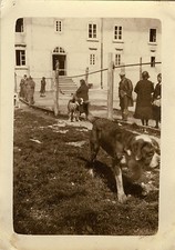 PHOTO ANCIENNE - VINTAGE