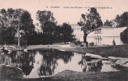 Angers garden plants - of,