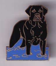 RARE PINS PIN'S .. ANIMAL