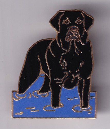Rare pins pin animal - rare, pin's